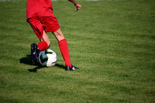 米兰全站app登录app-意甲青训项目加入比赛情绪识别系统提升抗压反应，意甲本队青训